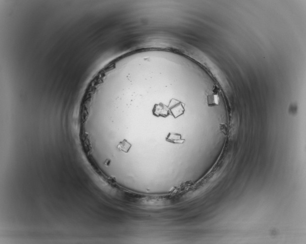 X0000102530795200808221904