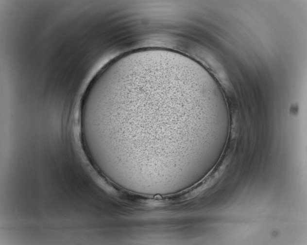 X0000102530796200808221904