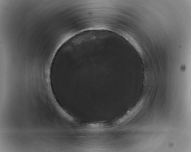 X0000102530797200808221904