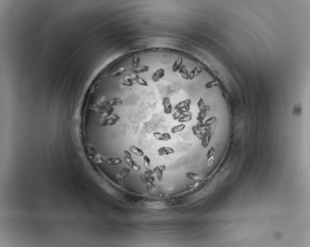 X0000102530798200808221904