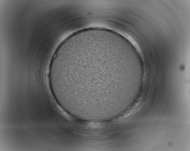 X0000102530799200808221904