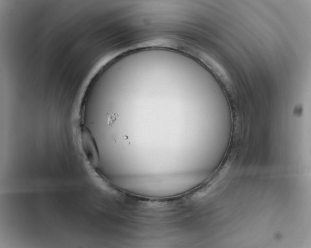 X0000102530800200808221904