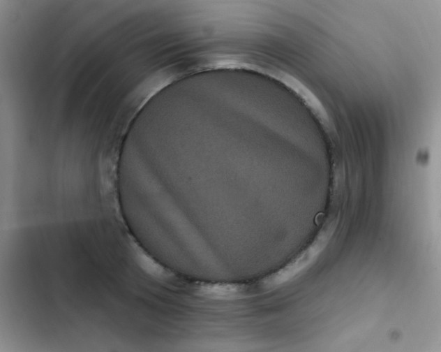 X0000102530801200808221904