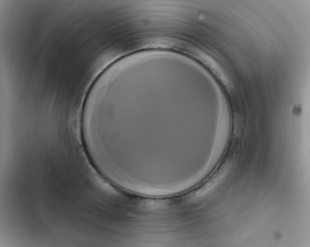 X0000102530802200808221904