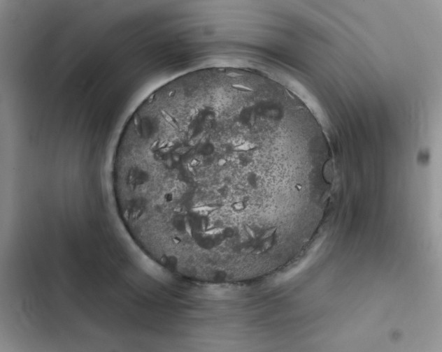 X0000102530803200808221904