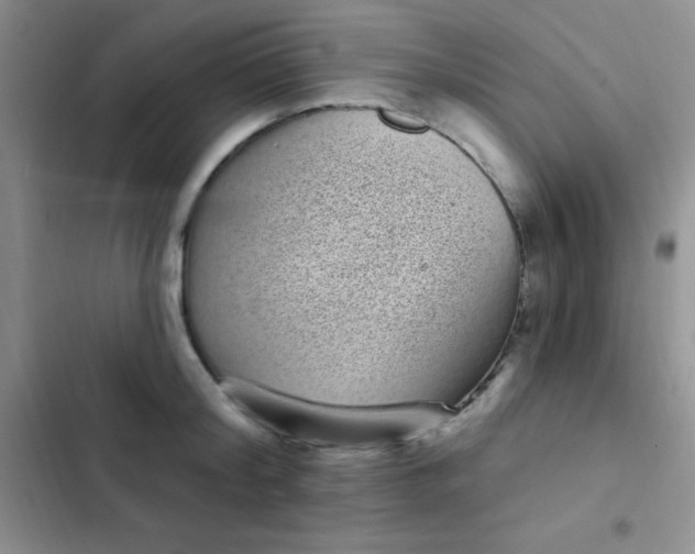 X0000102530804200808221904