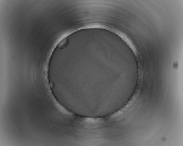 X0000102530805200808221904