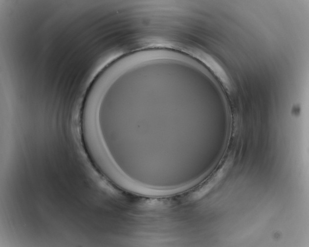 X0000102530806200808221904