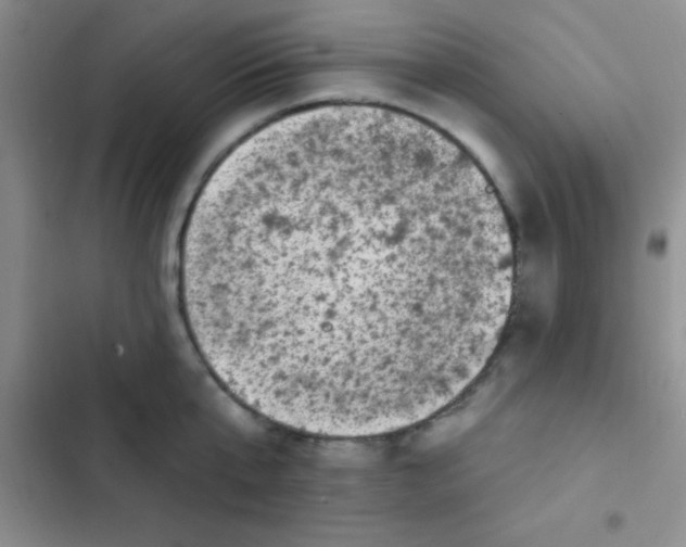 X0000102530807200808221904