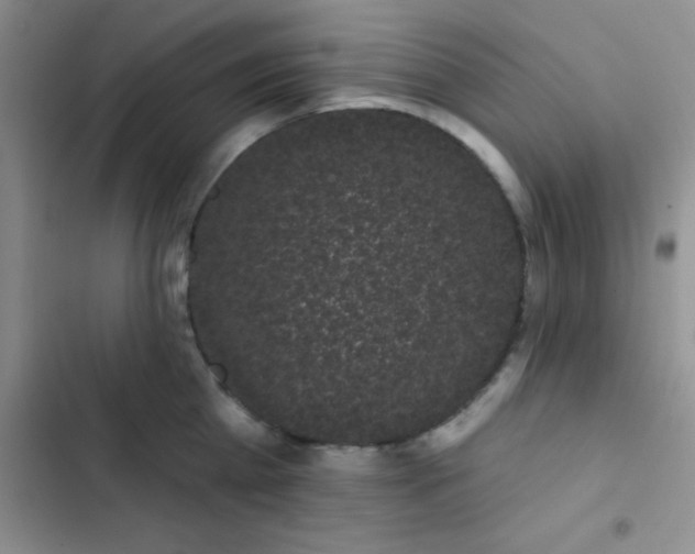 X0000102530809200808221904