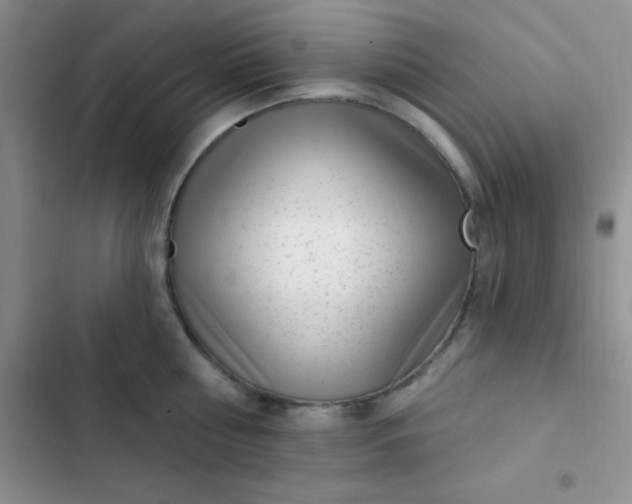 X0000102530810200808221904