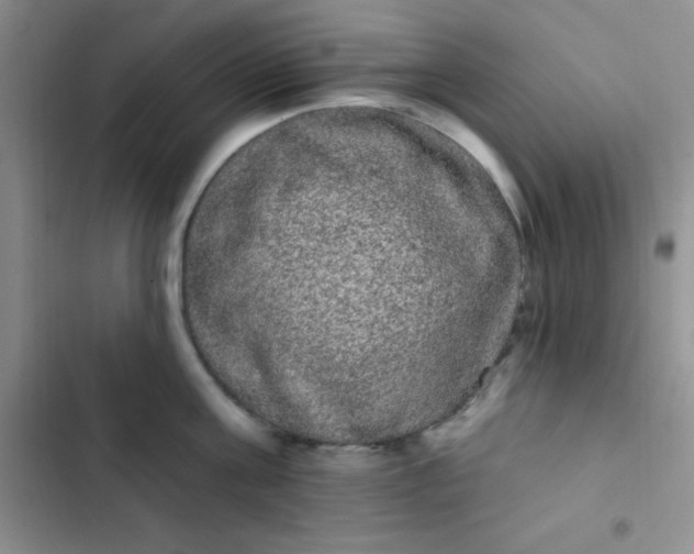 X0000102530811200808221904