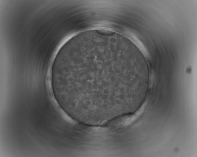 X0000102530812200808221904