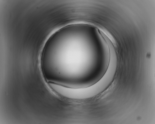 X0000102530813200808221904