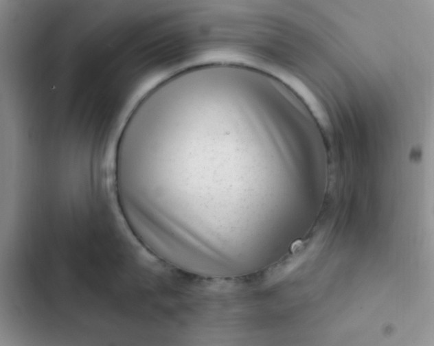 X0000102530815200808221904