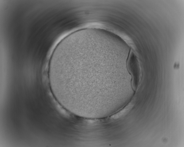 X0000102530816200808221904