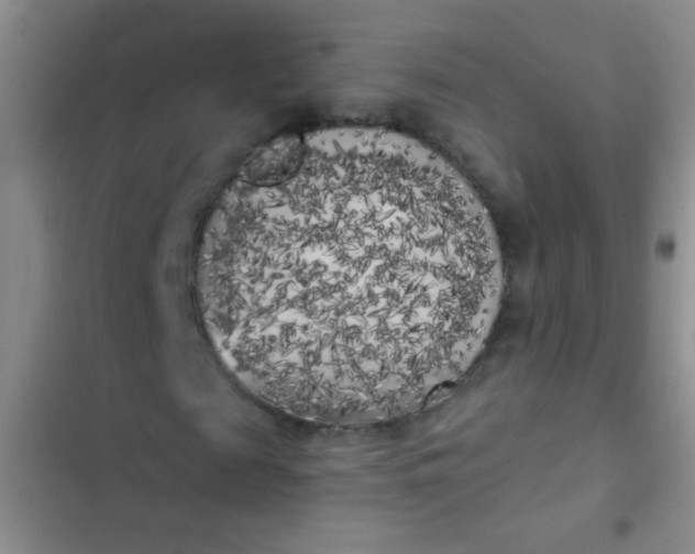 X0000102530817200808221903