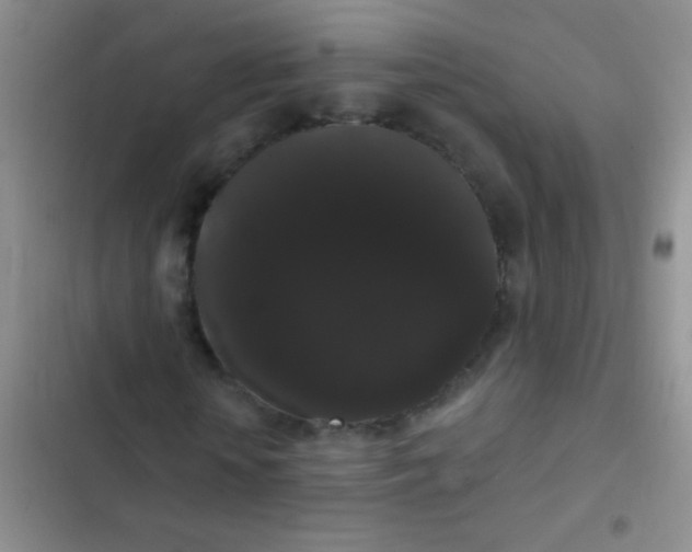 X0000102530818200808221903