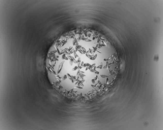 X0000102530819200808221903