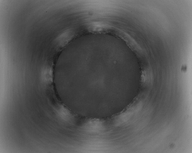 X0000102530820200808221903