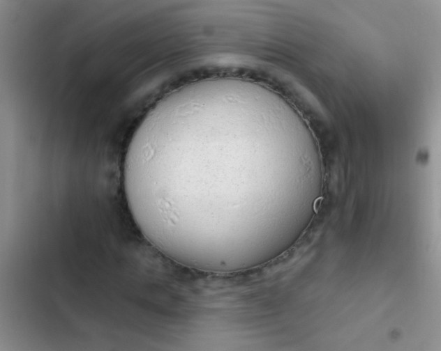 X0000102530821200808221903