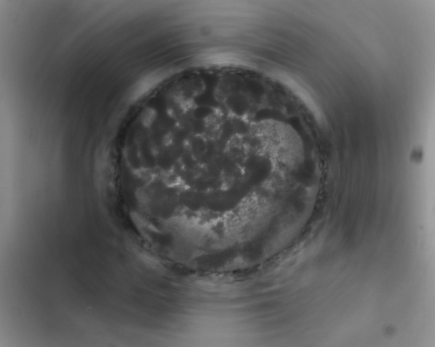 X0000102530823200808221903