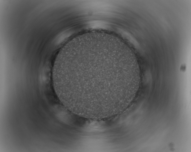 X0000102530824200808221903