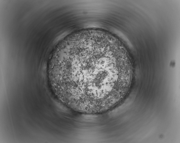 X0000102530825200808221903