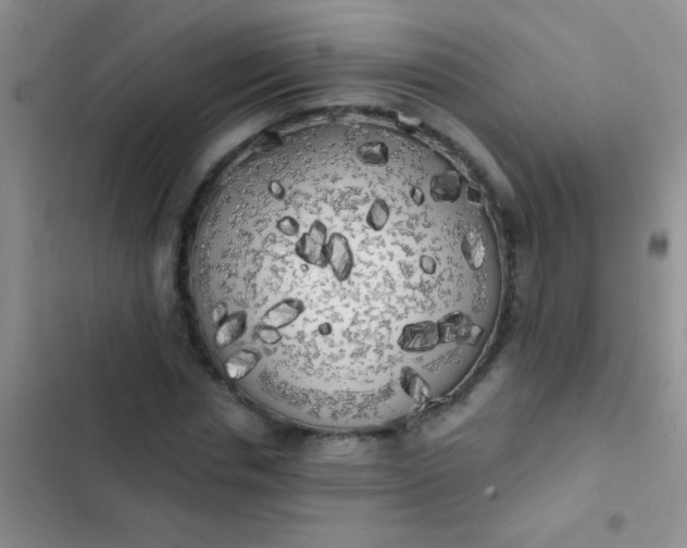 X0000102530826200808221903