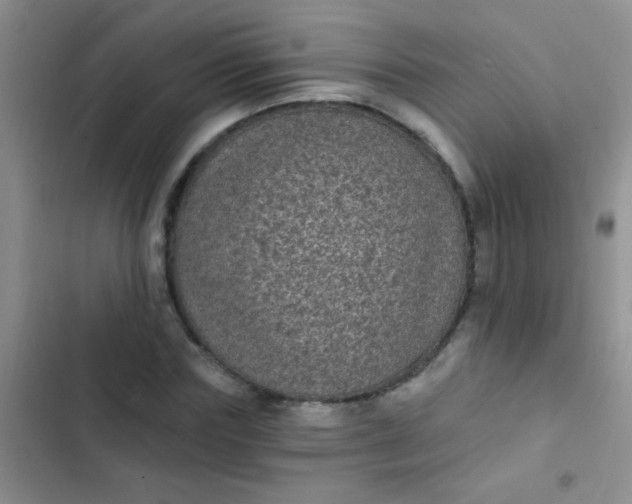 X0000102530827200808221903