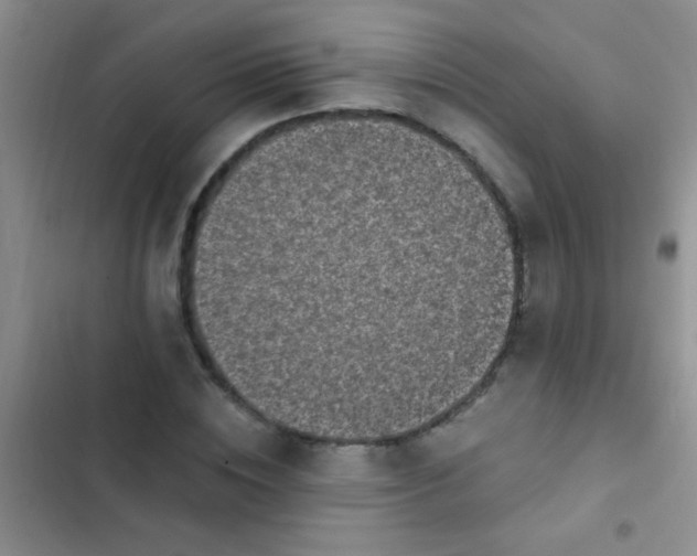 X0000102530828200808221903