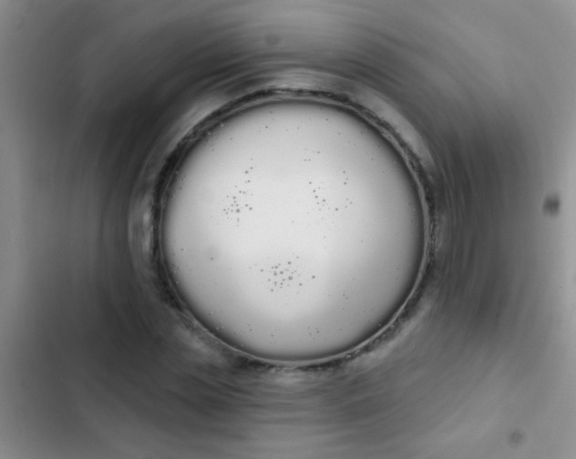 X0000102530829200808221903