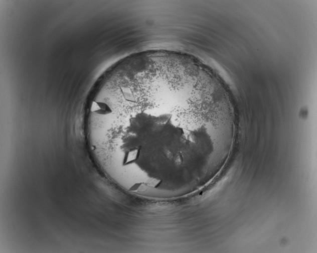 X0000102530830200808221903