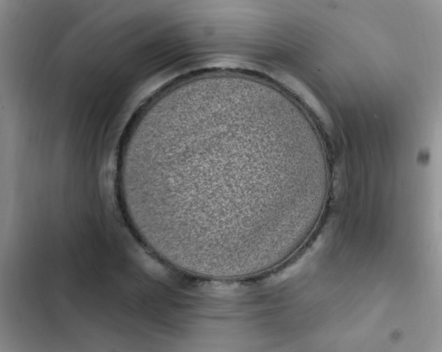 X0000102530831200808221903