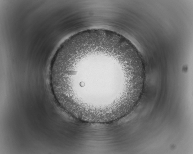 X0000102530832200808221903