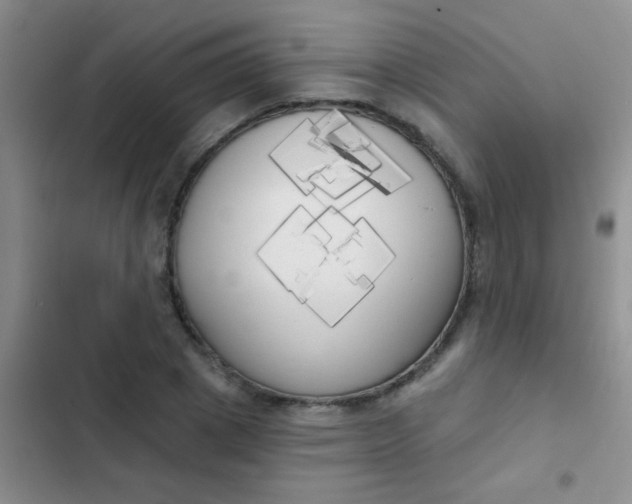 X0000102530833200808221903