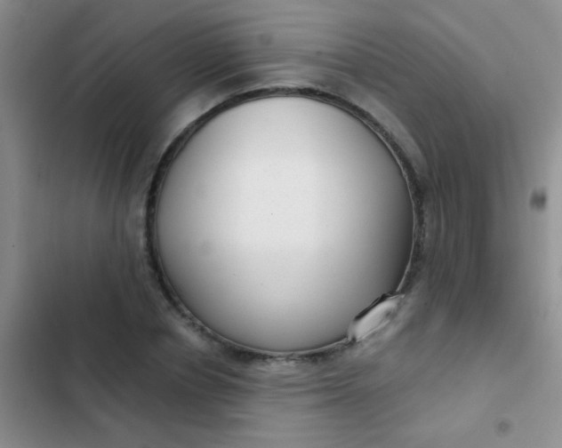 X0000102530834200808221903