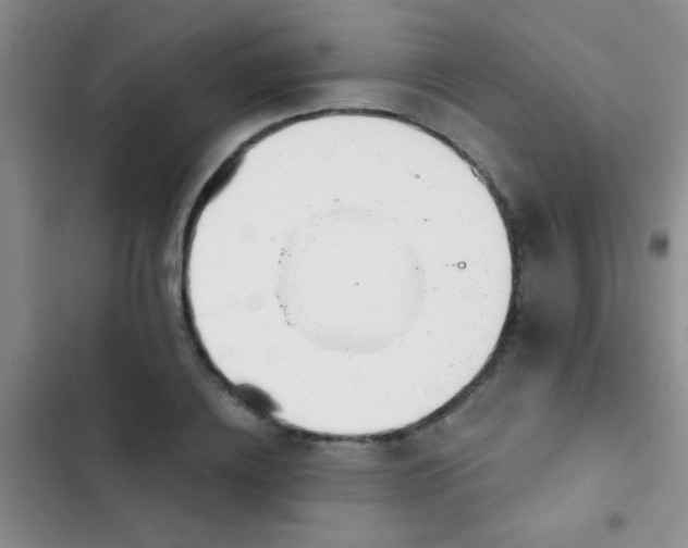 X0000102530836200808221903