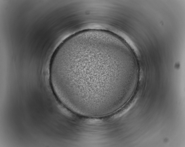 X0000102530837200808221903