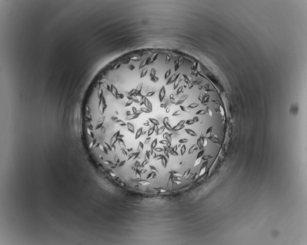 X0000102530838200808221903