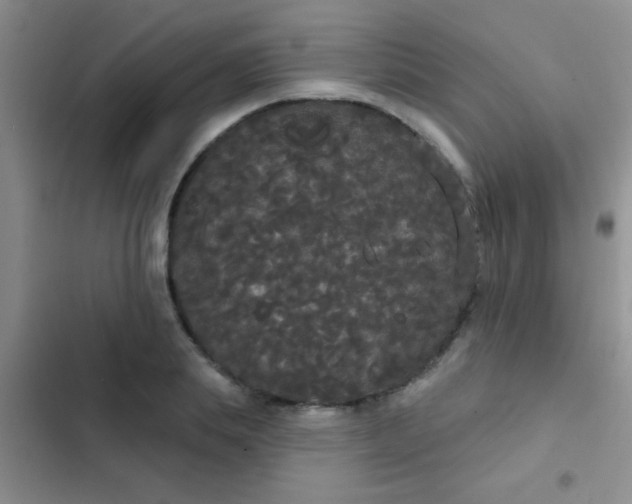 X0000102530839200808221903