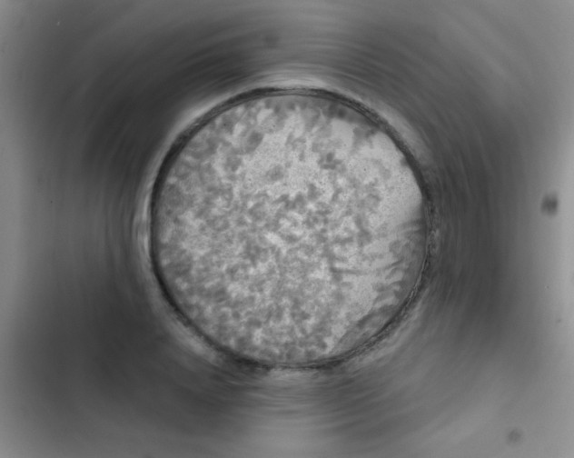 X0000102530840200808221903