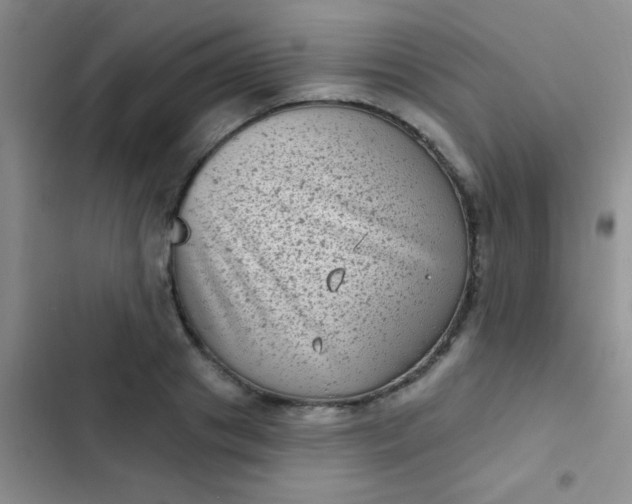 X0000102530841200808221903