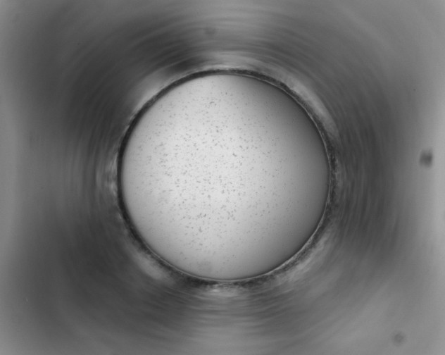 X0000102530842200808221903