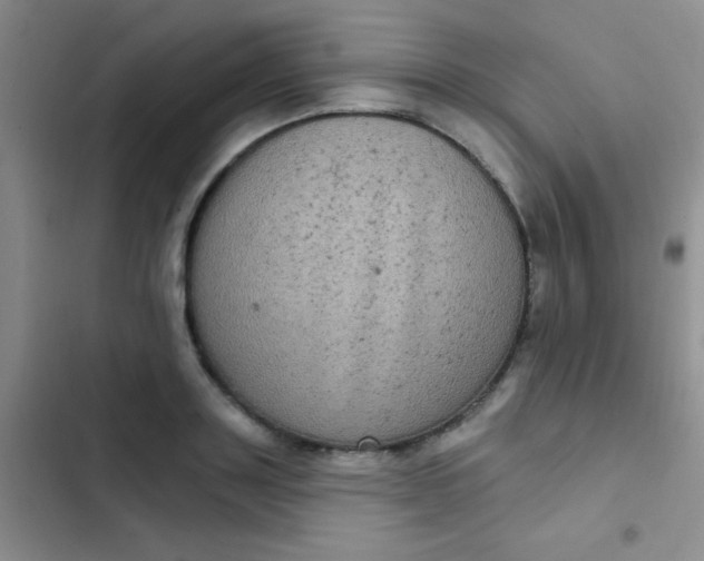 X0000102530843200808221903