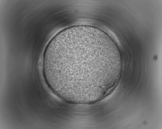 X0000102530844200808221903