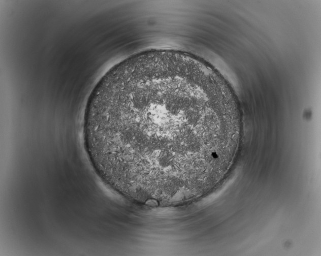 X0000102530845200808221903