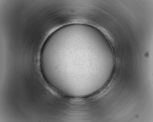 X0000102530846200808221903