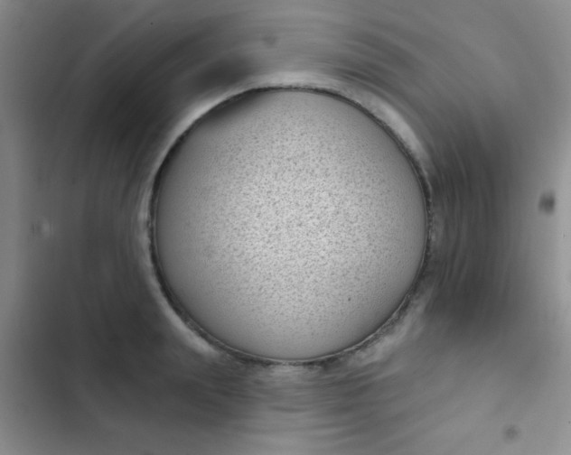 X0000102530847200808221903