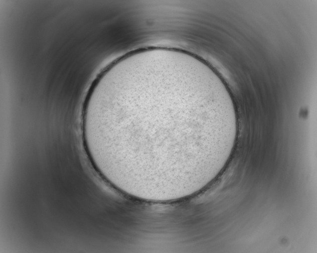 X0000102530848200808221903